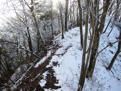 20191129hike (399)